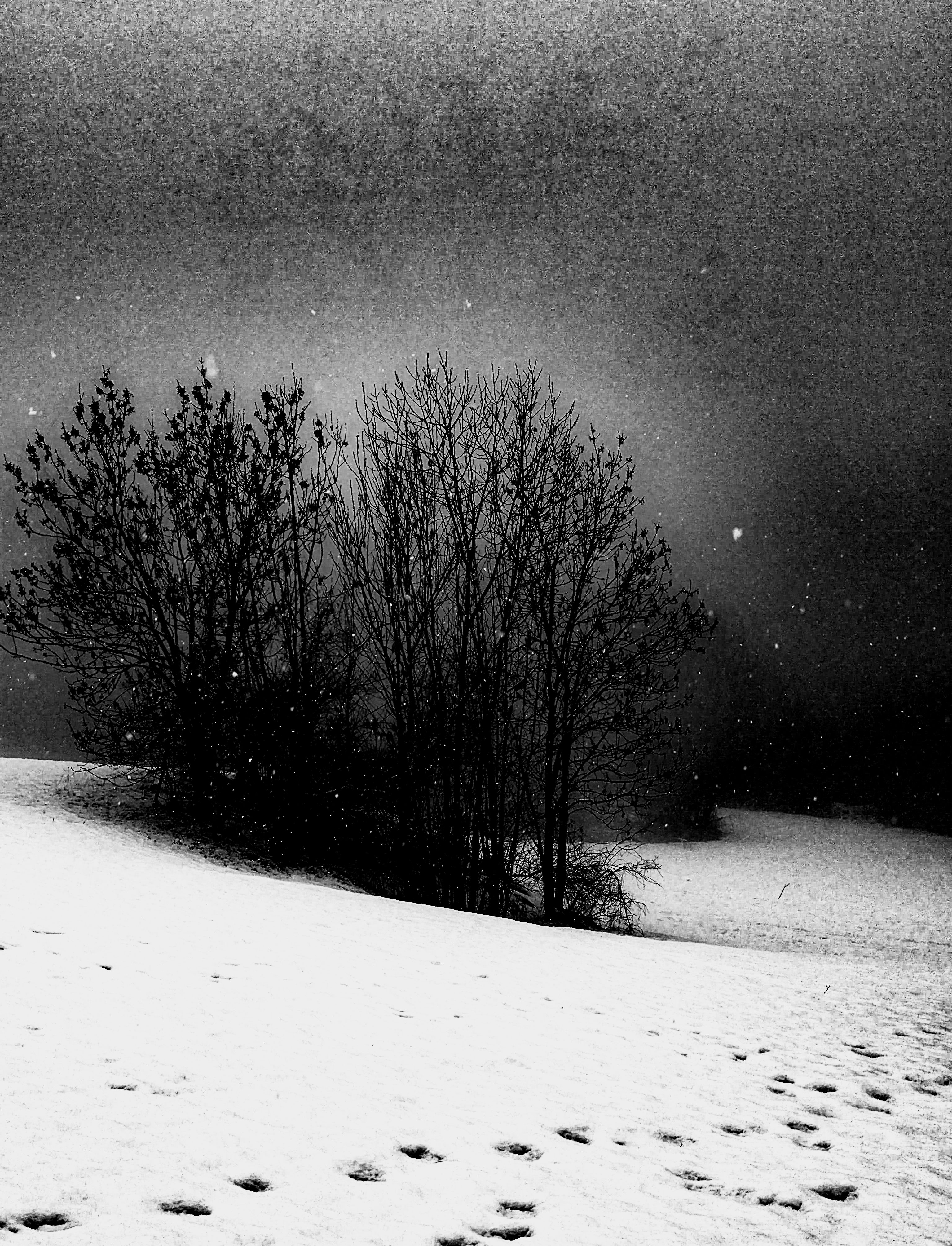 Image 1 - Dans un souffle
