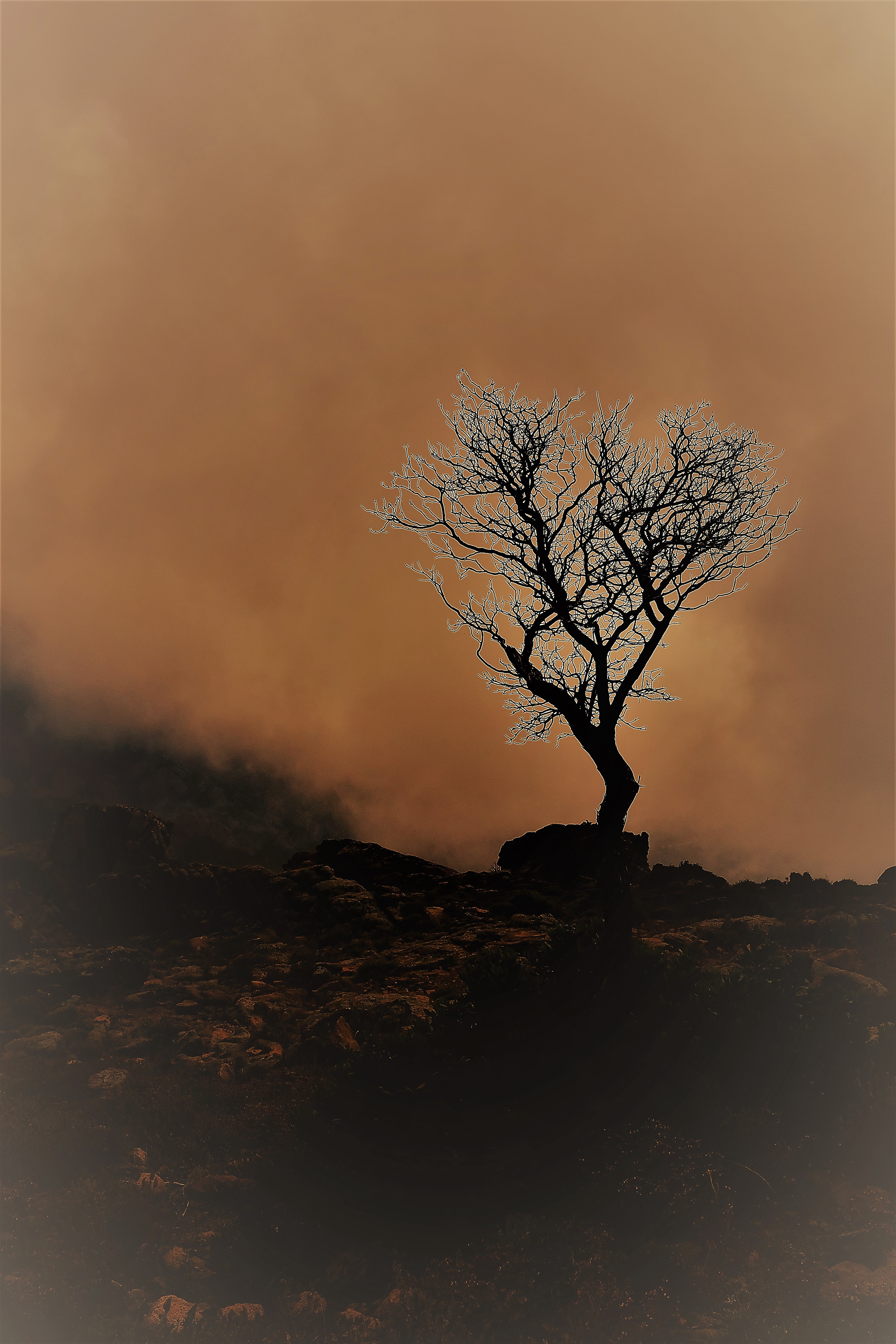 Image 2 - Dans un souffle