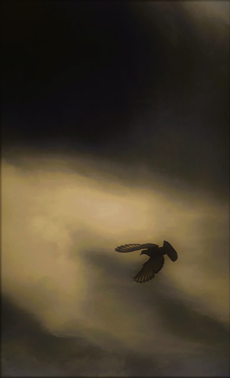Image 7 - Dans un souffle