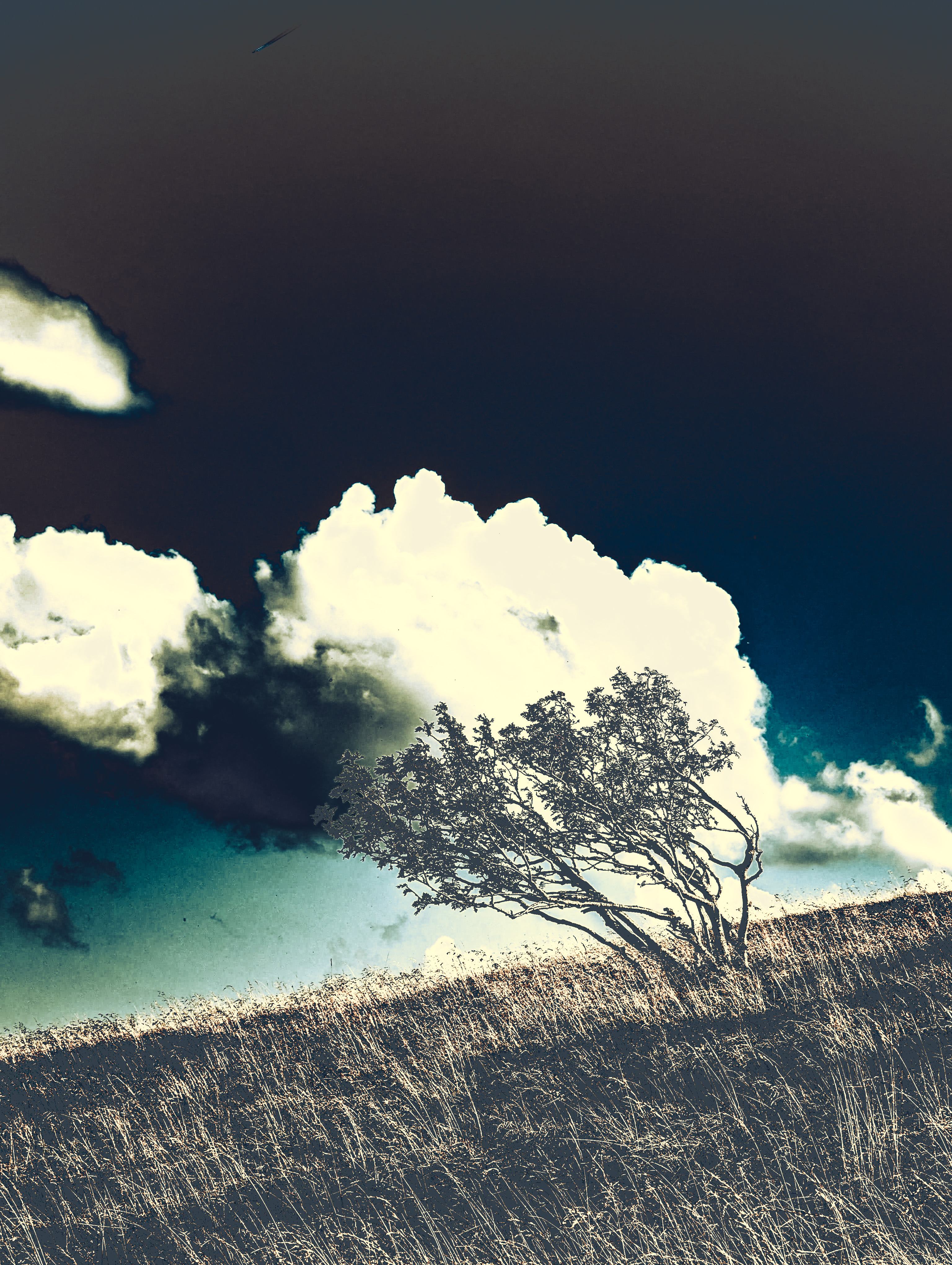 Image 8 - Dans un souffle